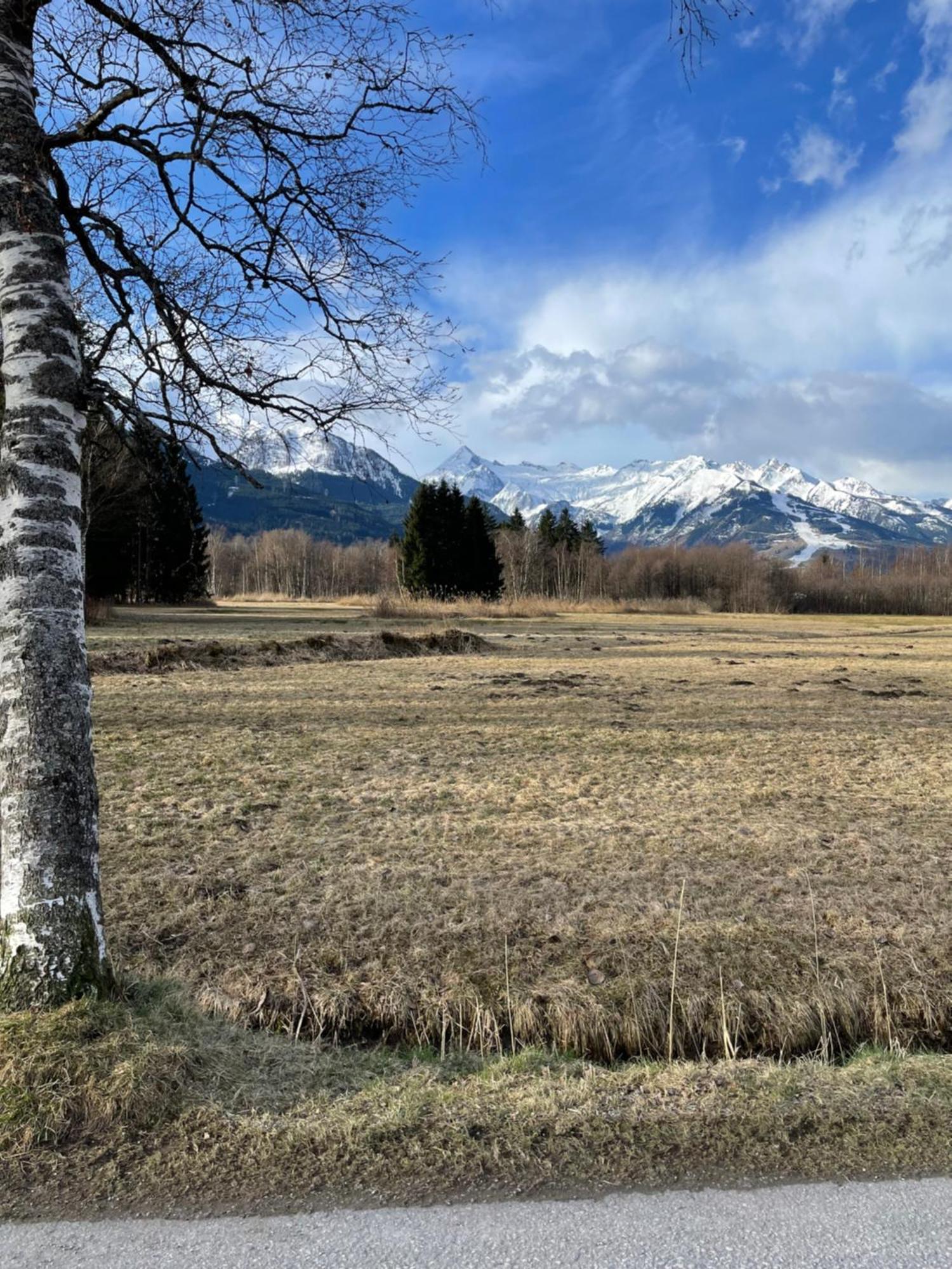 Liesl - Zell Am Appartement